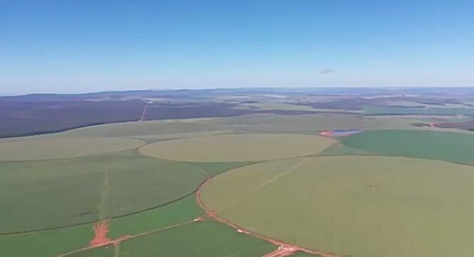 Belíssima fazenda no Centro Oeste, 200 KM de Brasília, tripla aptidão, perto do asfalto, PRODUTIVA