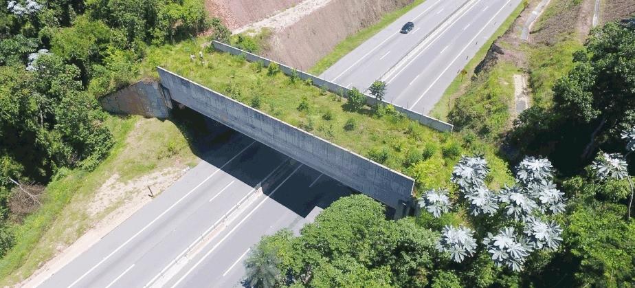 SP assina protocolo de intenções para a criação de corredores ecológicos