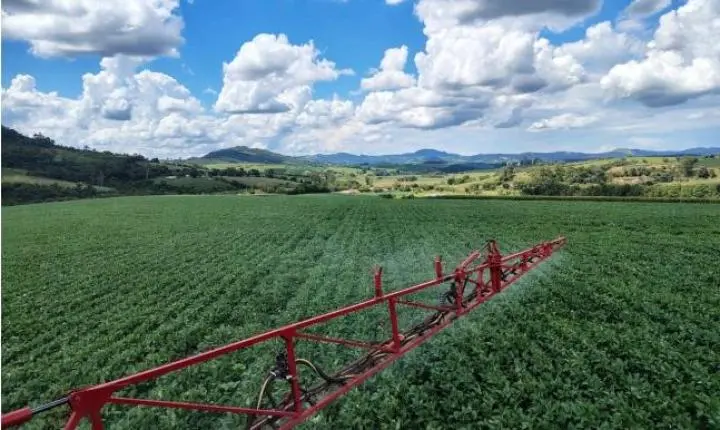 Oportunidade Rara em Serra Negra: Fazenda com 488 Hectares Une Alta Produtividade e Charme Colonial